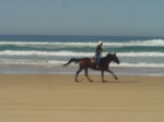 Horserideonbeach